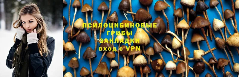 мориарти Telegram  ссылка на мегу как войти  Галлюциногенные грибы мицелий  Рославль  где купить наркоту 